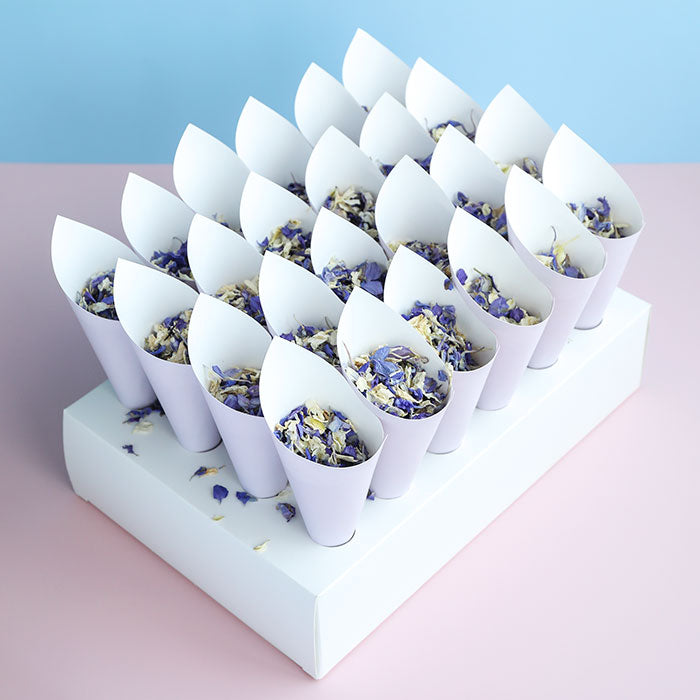 24 Lilac Confetti Cones With Stand