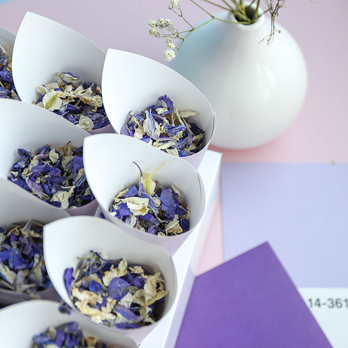 24 Lilac Confetti Cones With Stand