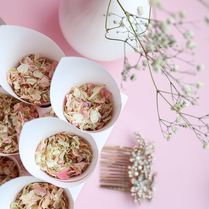 24 Pink Confetti Cones With Stand