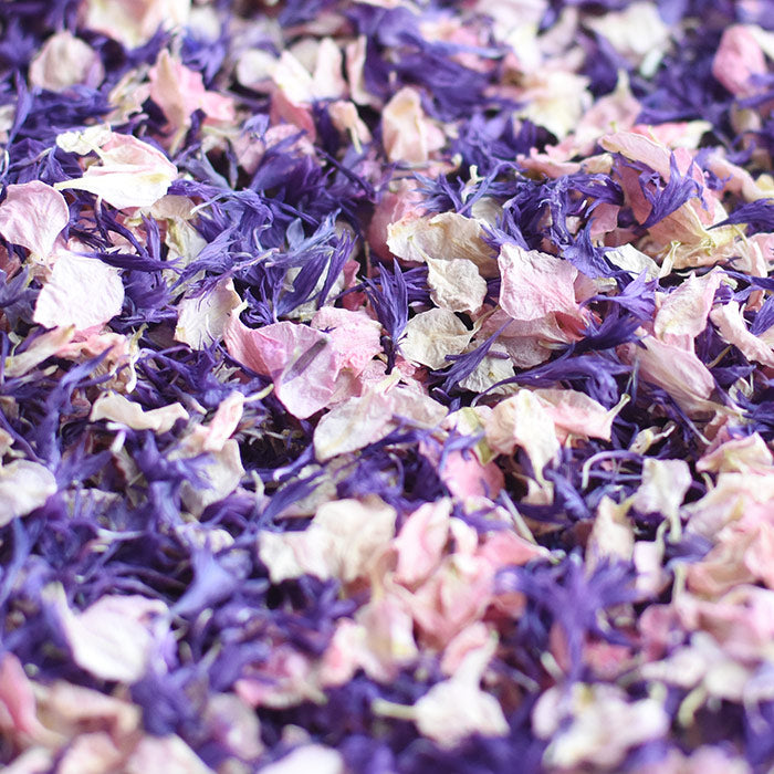 24 Lilac Confetti Cones With Stand