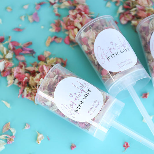 Sprinkle With Love Confetti Push Pops Kit (Pack of 10)