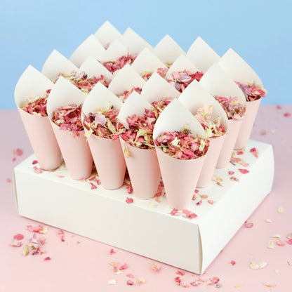 20 Pink Confetti Cones With Stand