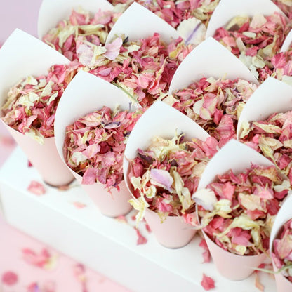 20 Pink Confetti Cones With Stand
