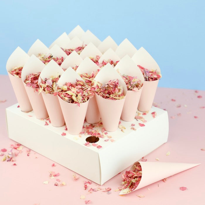 20 Pink Confetti Cones With Stand