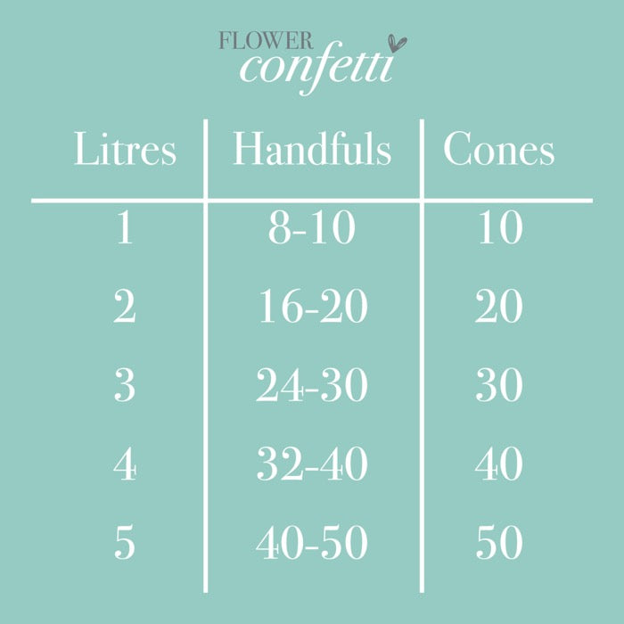 Empty Confetti Cones (Pack of 10)