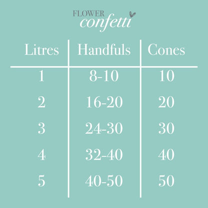 Empty Confetti Cones (Pack of 10)