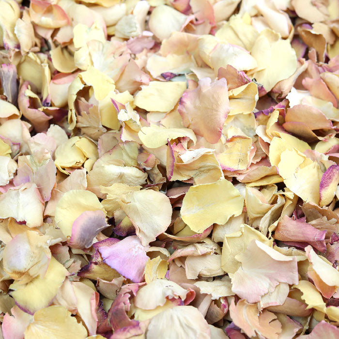 Citrus Yellow Rose Petals (4050 handfuls) Flower Confetti