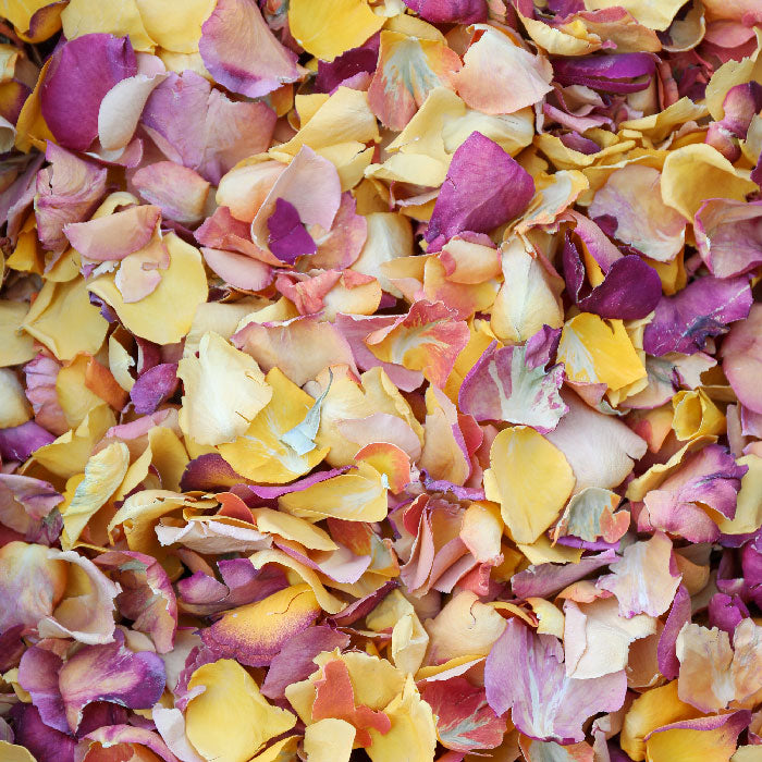 Citrus Yellow Rose Petals (4050 handfuls) Flower Confetti