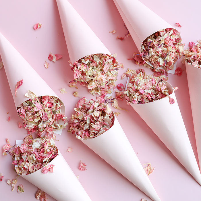 10 Pink Confetti Cones and Confetti