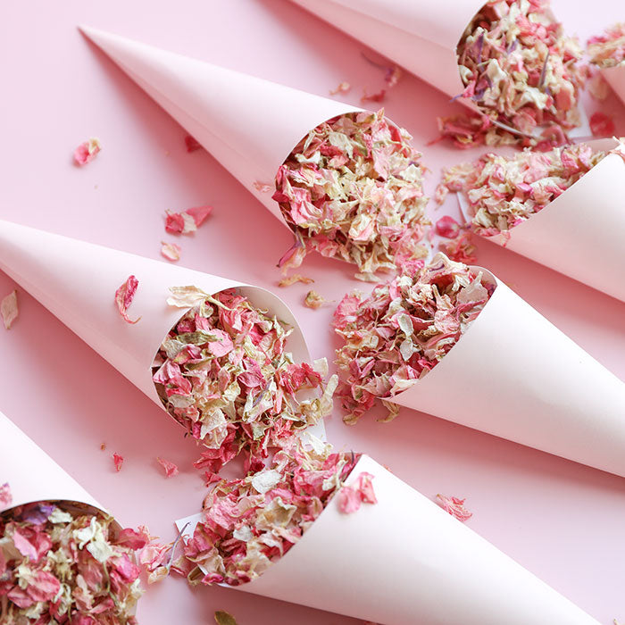 10 Pink Confetti Cones and Confetti