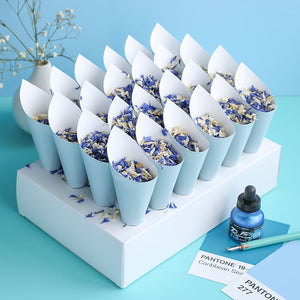 24 Blue Confetti Cones With Stand