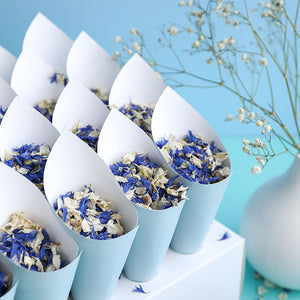 24 Blue Confetti Cones With Stand