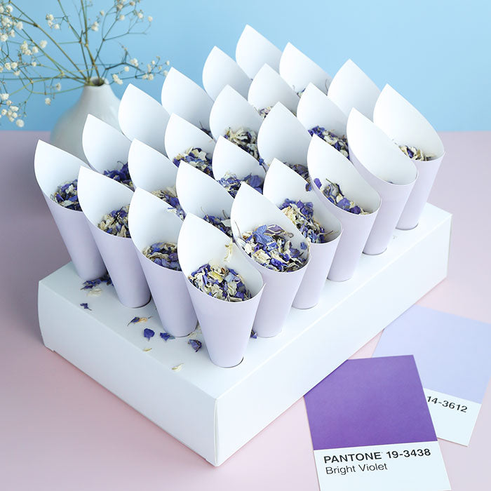 24 Lilac Confetti Cones With Stand