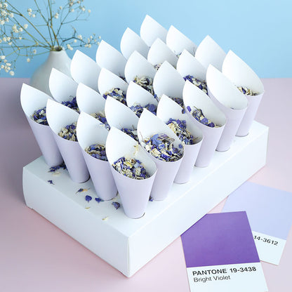 24 Lilac Confetti Cones With Stand