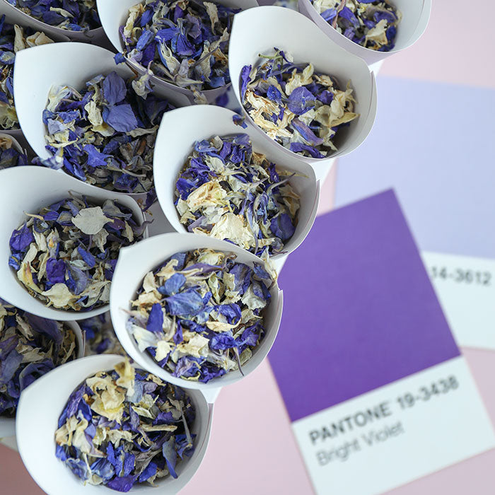 24 Lilac Confetti Cones With Stand