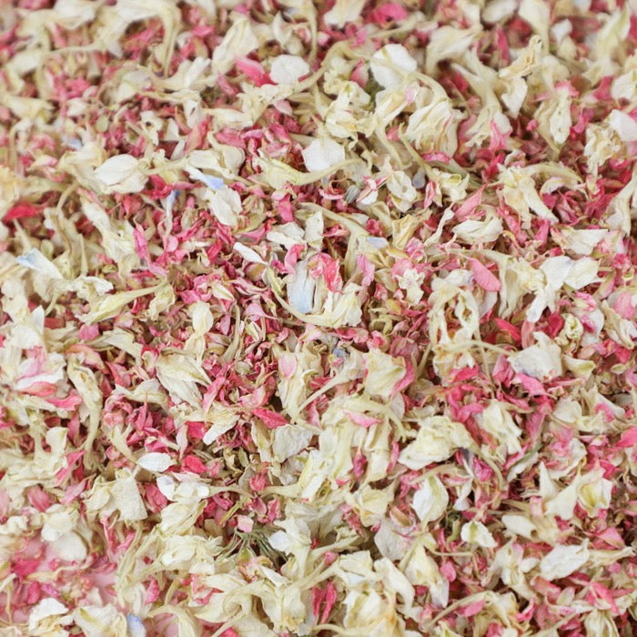 24 Lilac Confetti Cones With Stand