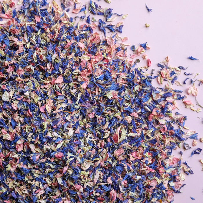 Sprinkle With Love Confetti Push Pops