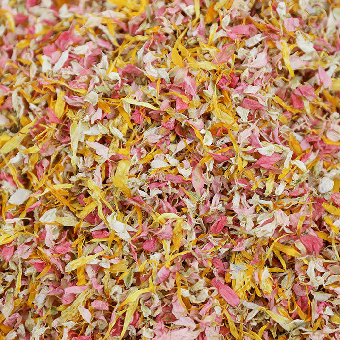 24 Kraft Confetti Cones With Stand
