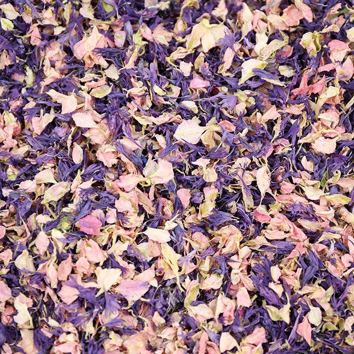 Sprinkle With Love Confetti Flicker