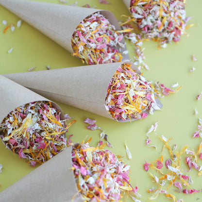 10 Kraft Confetti Cones and Confetti