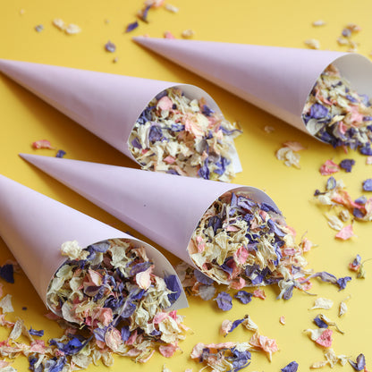 10 Lilac Confetti Cones and Confetti