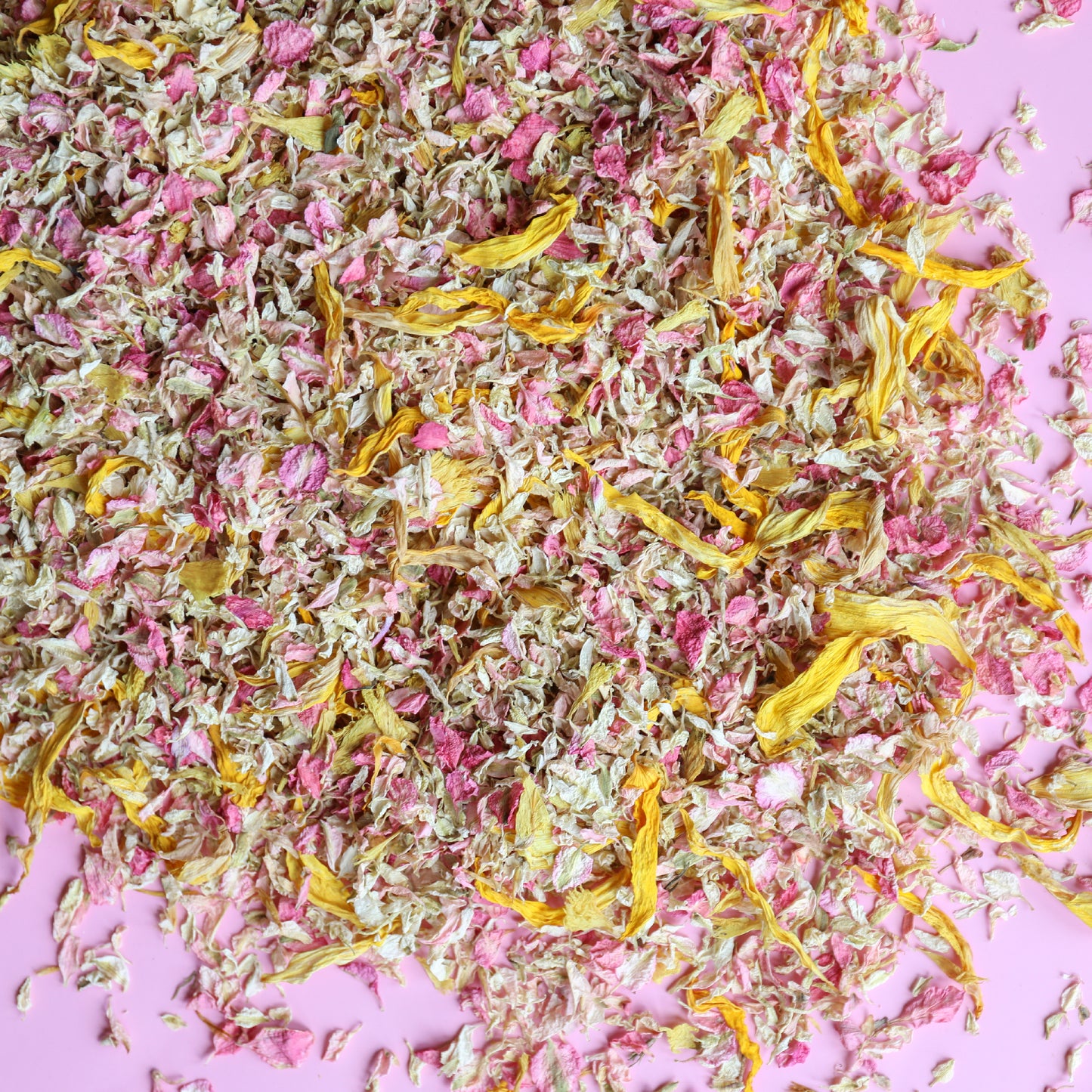 24 Lilac Confetti Cones With Stand