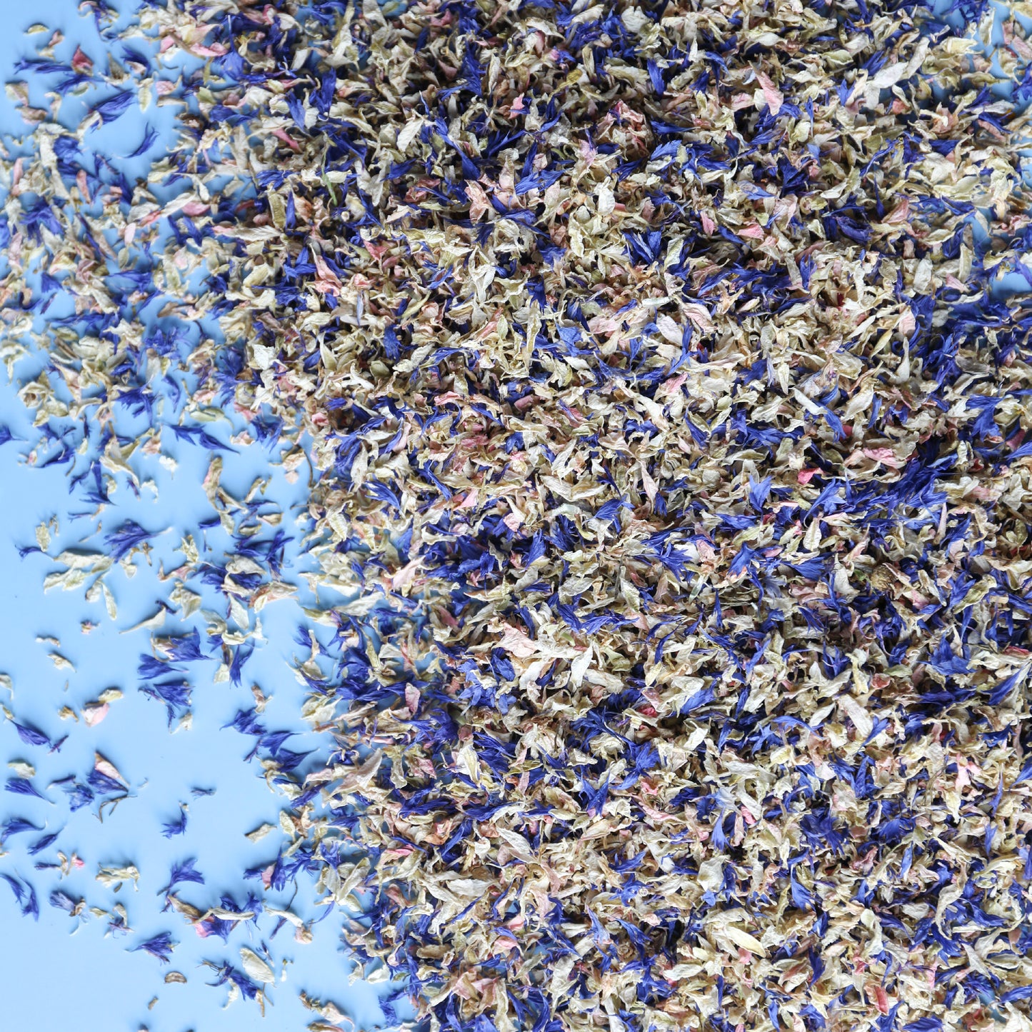10 Lilac Confetti Cones and Confetti